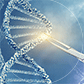 CRISPR Genome Editing Services