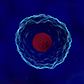 Stable Cell Line Cell Culture Services