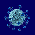 Lentivirus Production Services