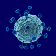 Retrovirus Production Services